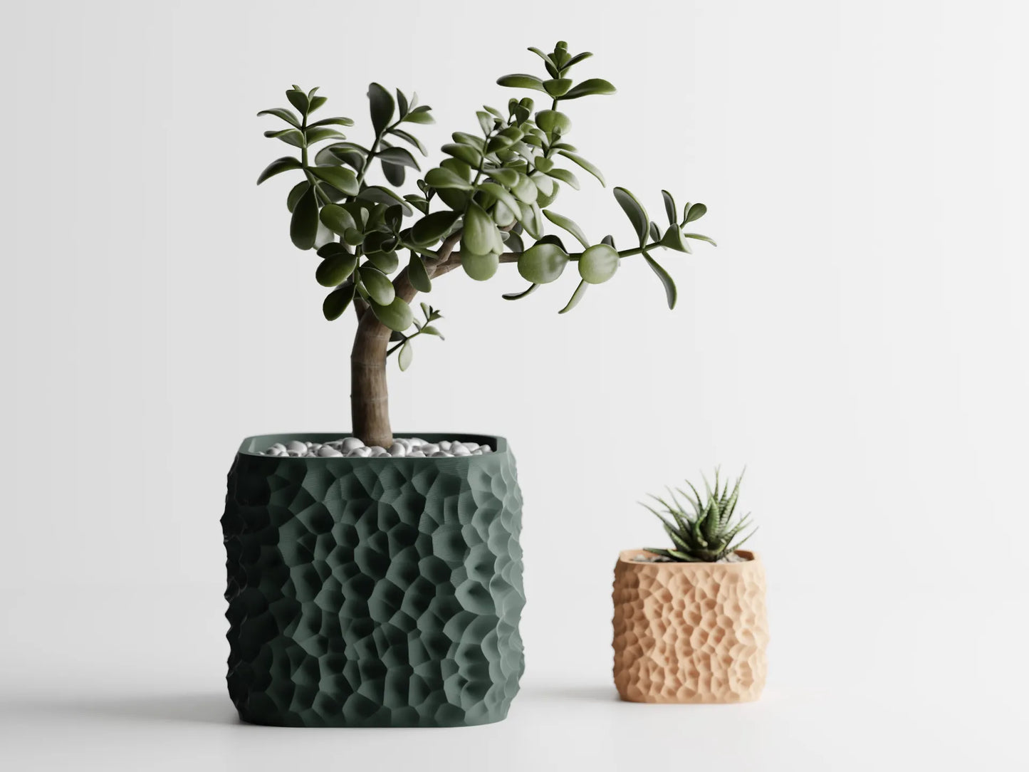Terraforma