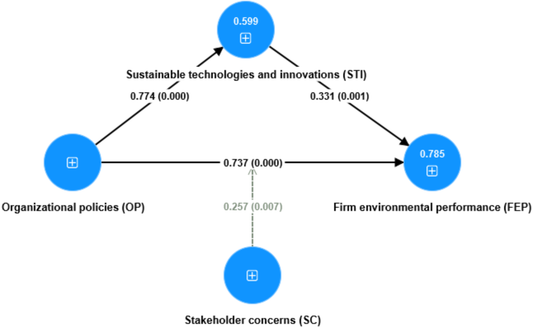 How Organizational Policies Drive Firm Environmental Performance Through Sustainable Technologies