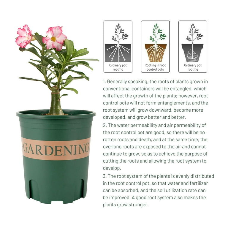 Unlocking the Key Product Benefits: Why Handmade Vases and Planters are Essential for Your Flowers & Succulents