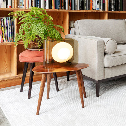 Sustainable Mid-Century Modern Decor: Style and Sustainability Combined