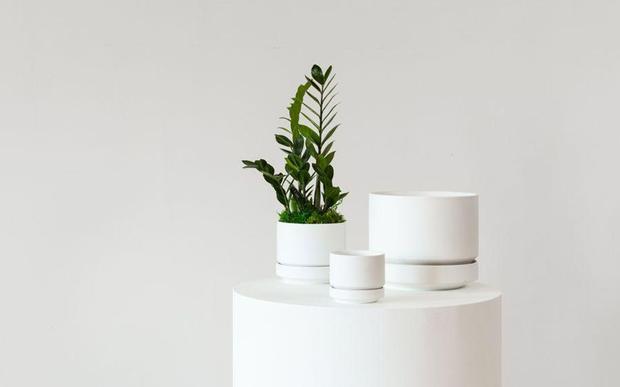 Stylish and Sustainable Planters: Elevating Your Home Decor with Scandinavian, Mid-Century Modern, Boho, and Japandi Designs